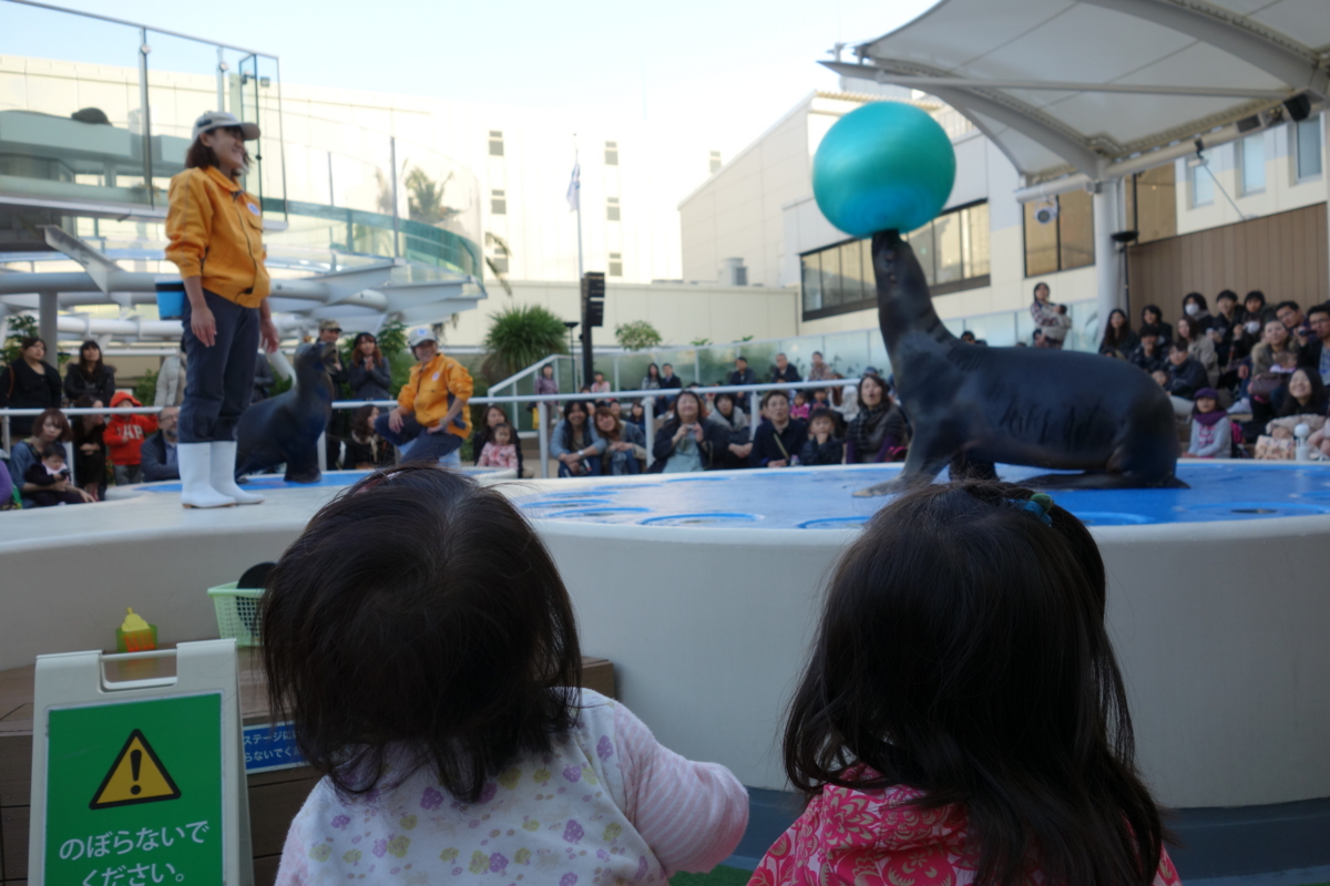 f:id:fal725:20121113153901j:image