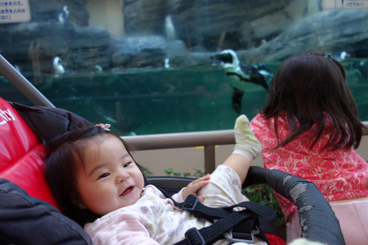 f:id:fal725:20121113154810j:image