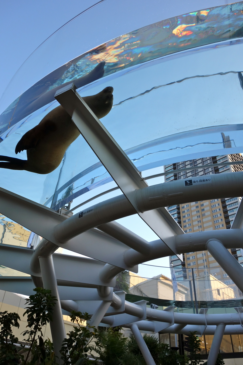 f:id:fal725:20121113160227j:image