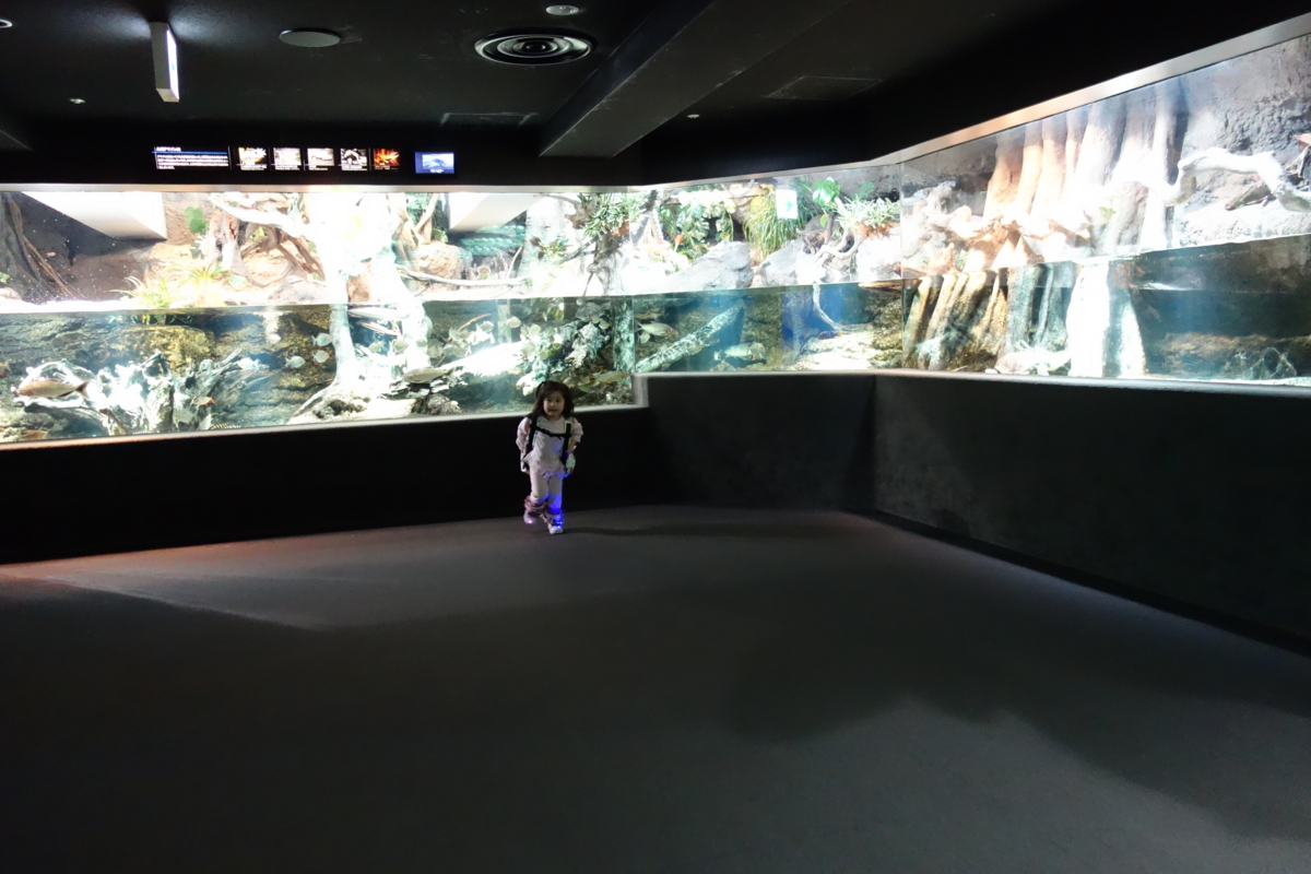 f:id:fal725:20121113172113j:image