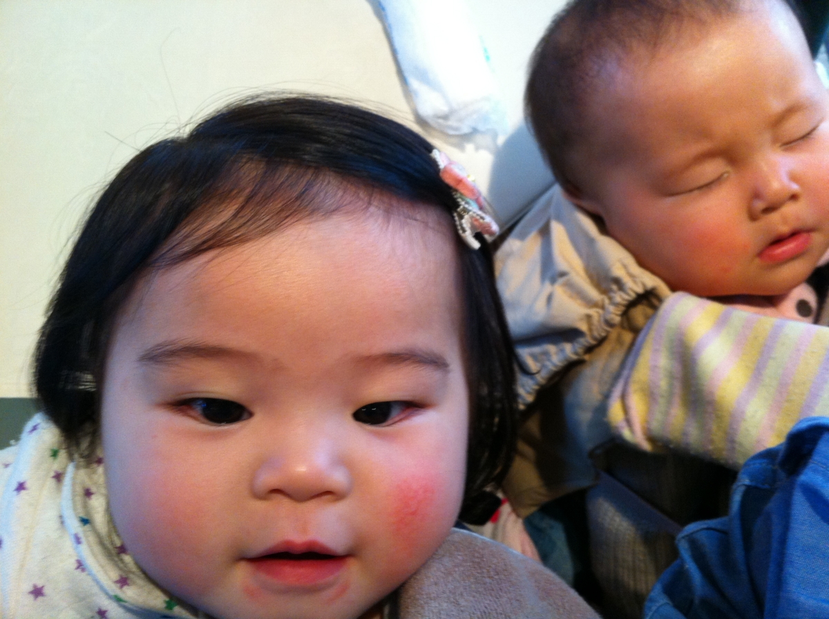 f:id:fal725:20121216131831j:image