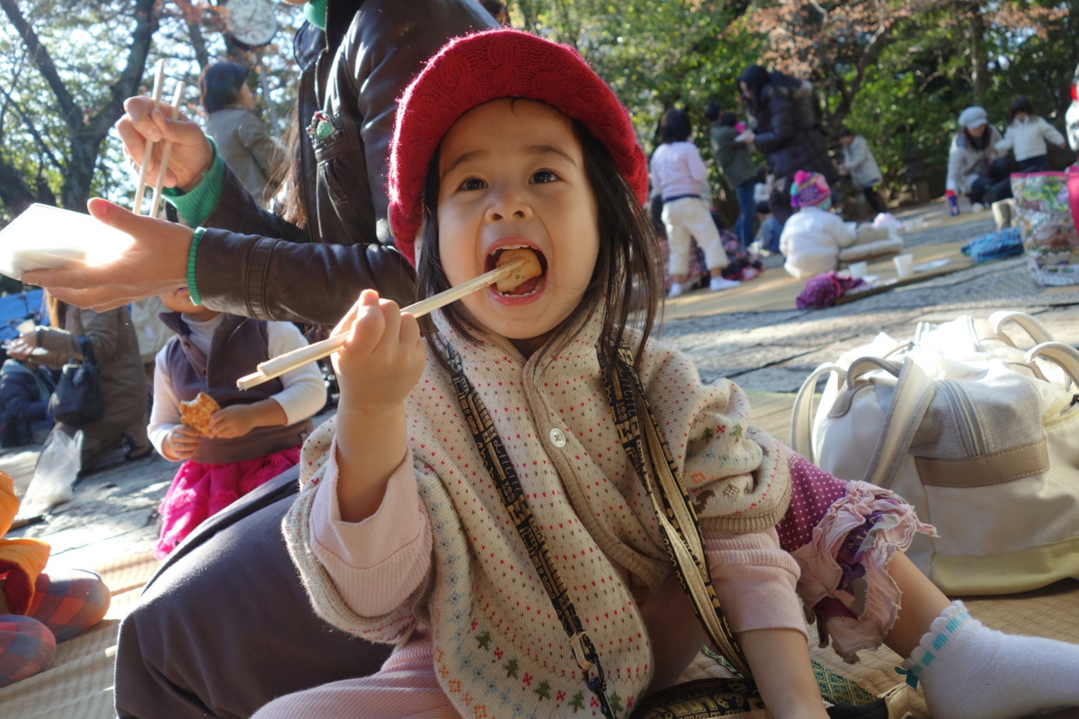 f:id:fal725:20121217002910j:image