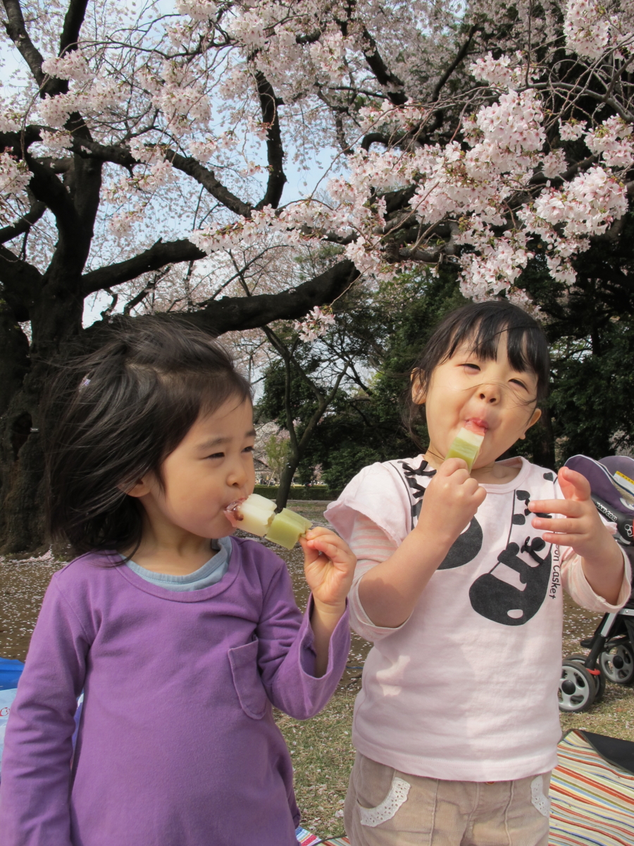 f:id:fal725:20130401145027j:image