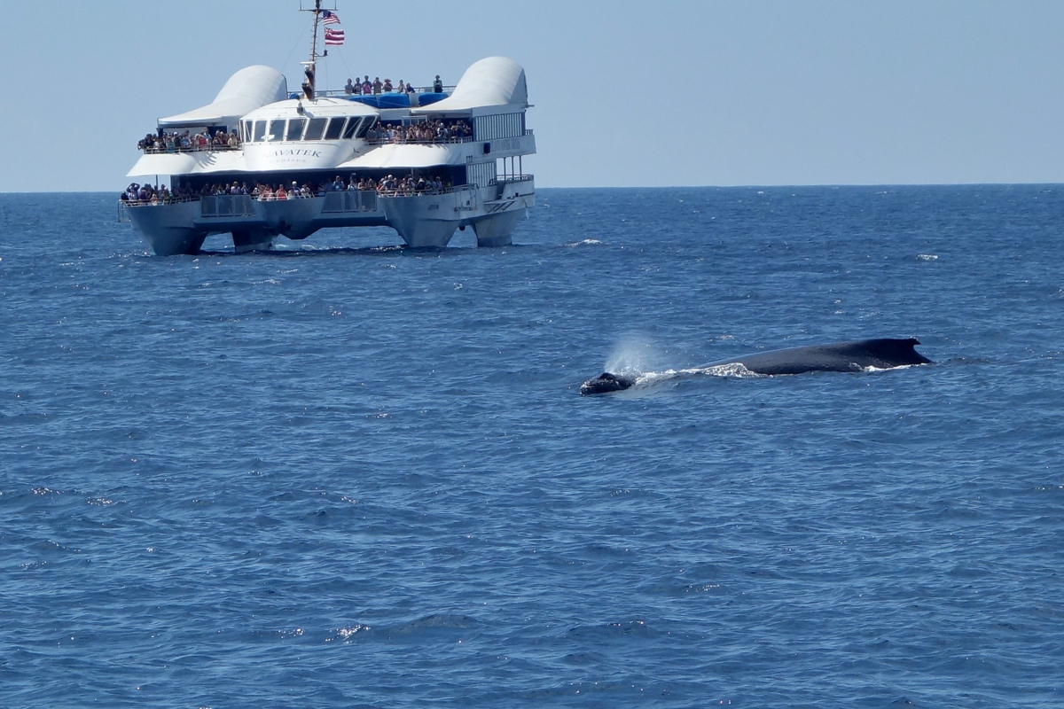 f:id:fal725:20140211132417j:image