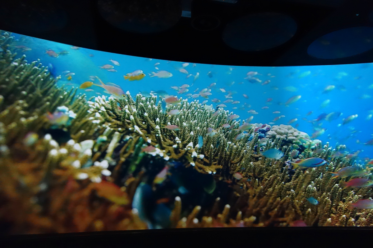 f:id:fal725:20140223120541j:image f:id:fal725:20140223120541j:image