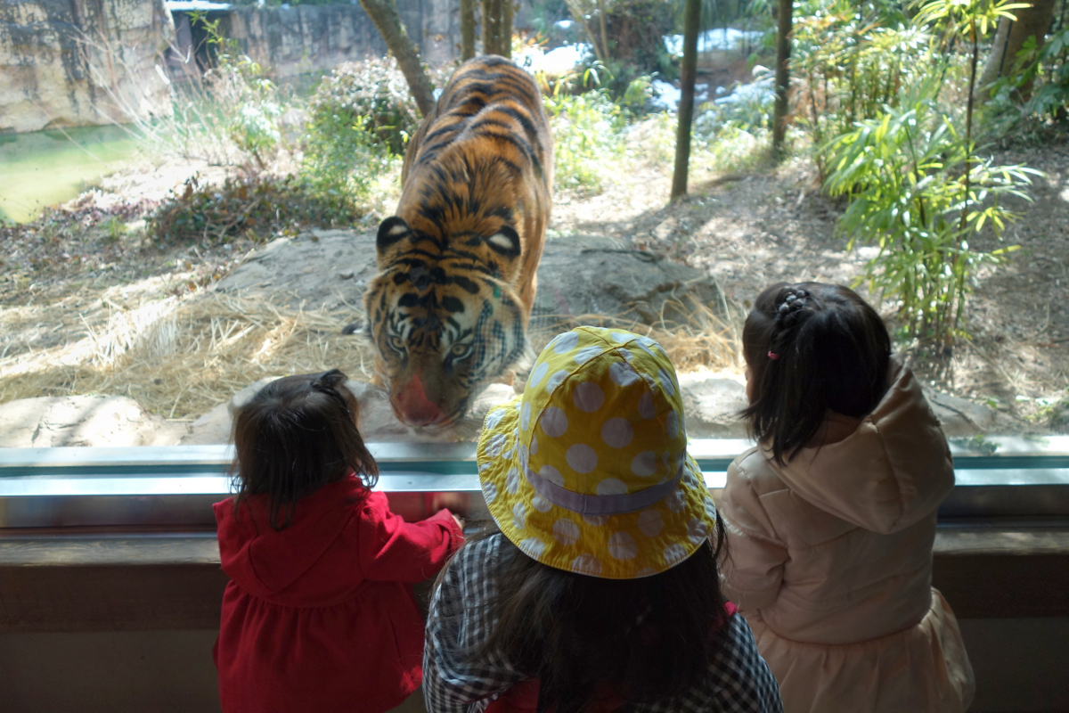 f:id:fal725:20140226115552j:image