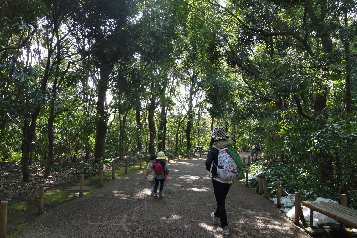 f:id:fal725:20140226121025j:image