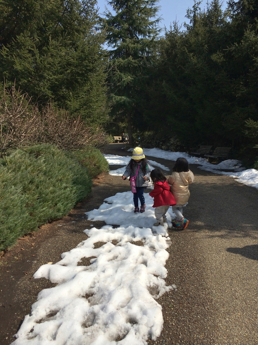 f:id:fal725:20140226124121j:image