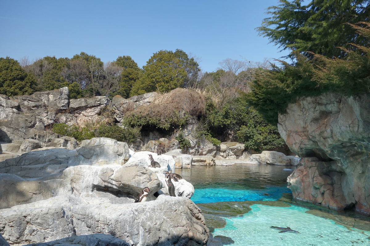 f:id:fal725:20140226125115j:image