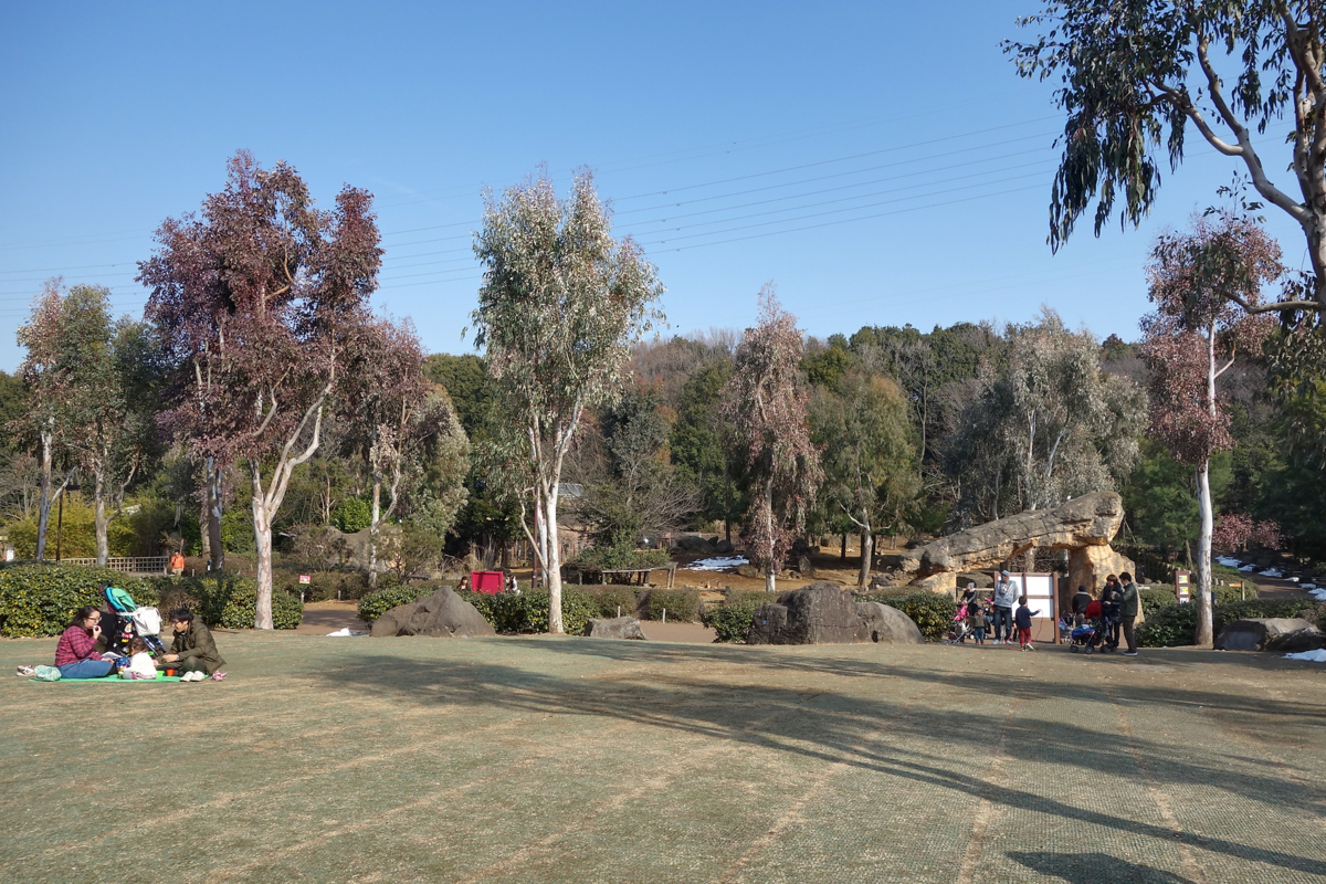 f:id:fal725:20140226141828j:image