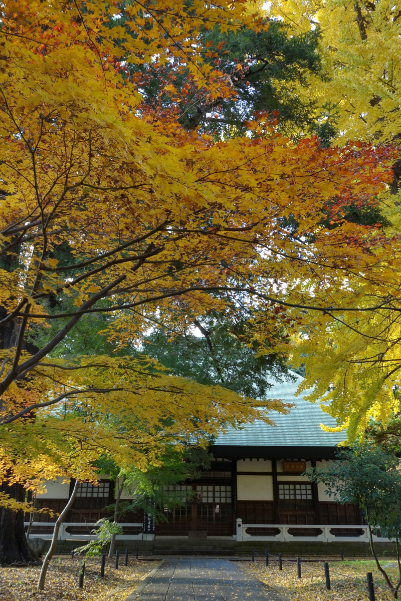 f:id:fal725:20141130132500j:plain