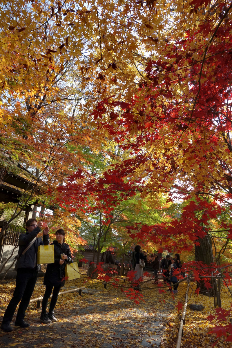 f:id:fal725:20141130133433j:plain