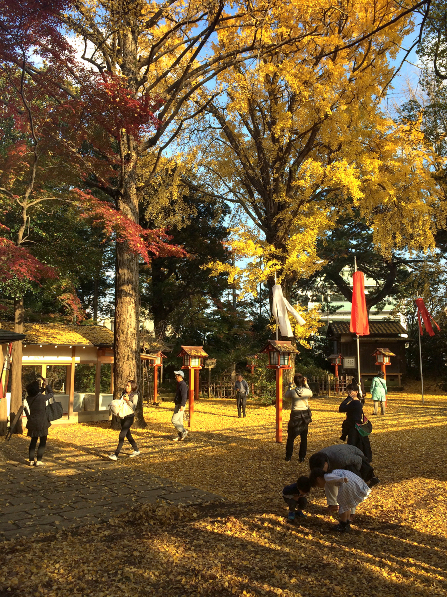 f:id:fal725:20141130142827j:plain