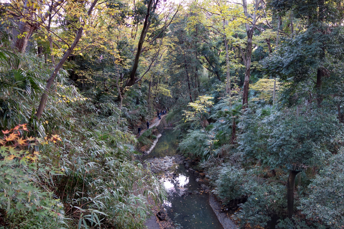 f:id:fal725:20141130150348j:plain