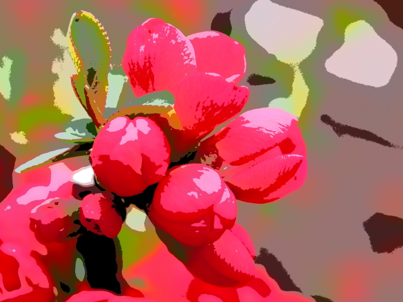 f:id:farNoise:20130320081038j:plain f:id:farNoise:20130320081038j:plain