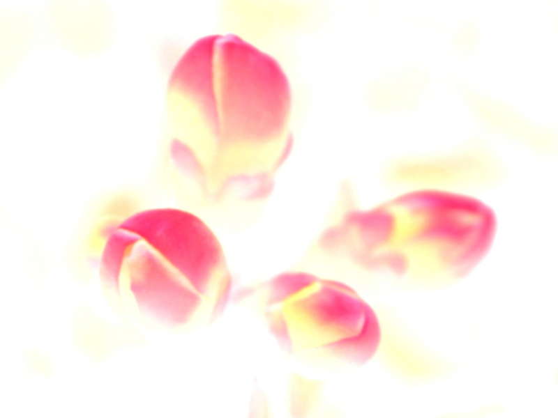 f:id:farNoise:20130320081433j:plain f:id:farNoise:20130320081433j:plain