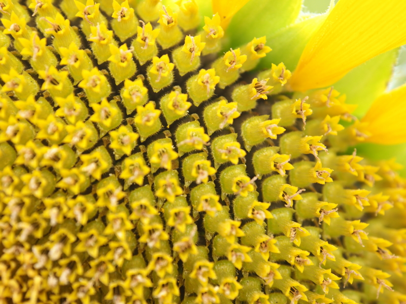 f:id:farNoise:20130721132551j:plain