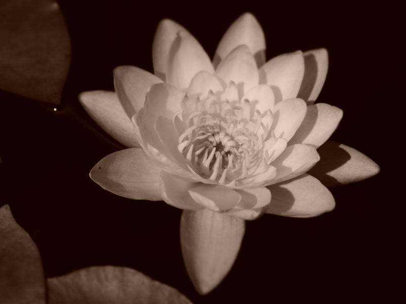 f:id:farNoise:20130726132756j:plain