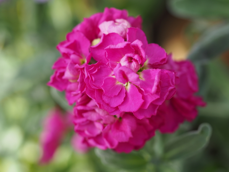 f:id:farNoise:20140110131426j:plain