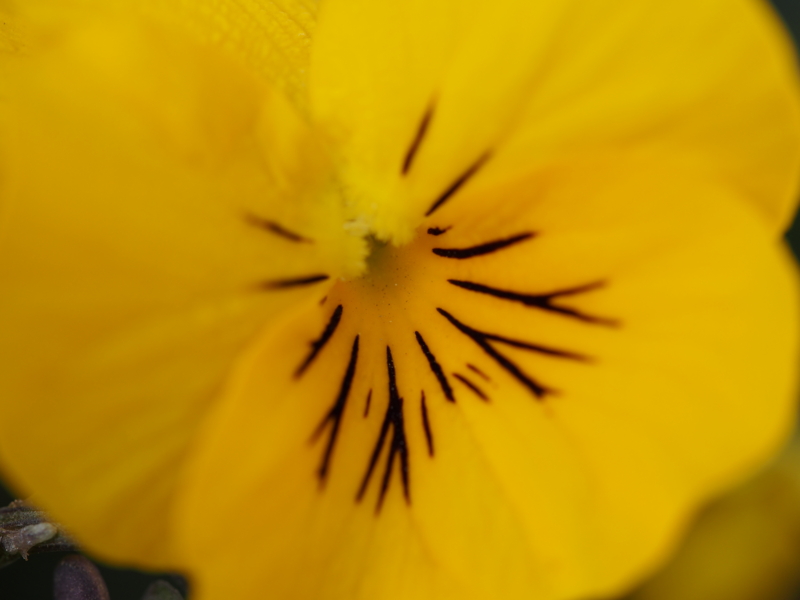 f:id:farNoise:20140207134117j:plain