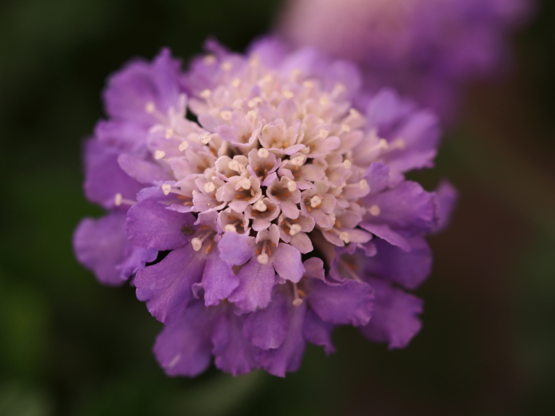 f:id:farNoise:20140207141934j:plain