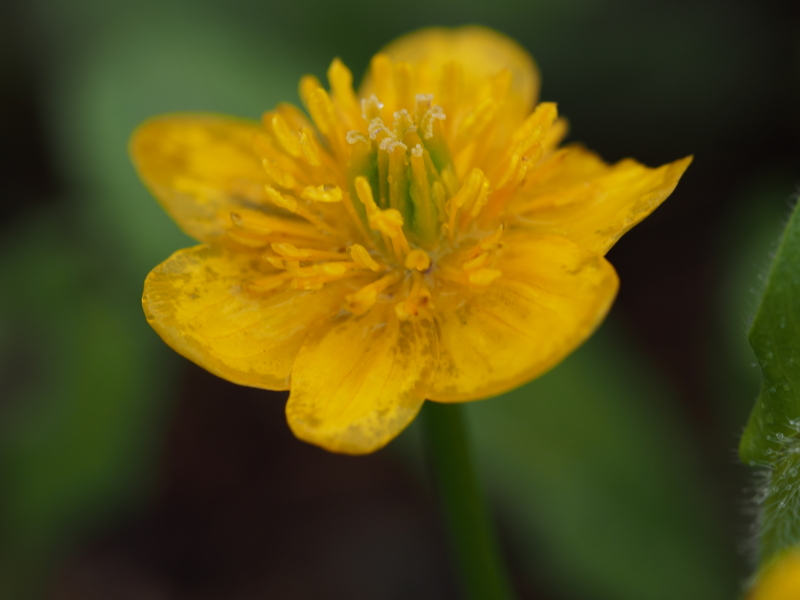 f:id:farNoise:20140421103420j:plain