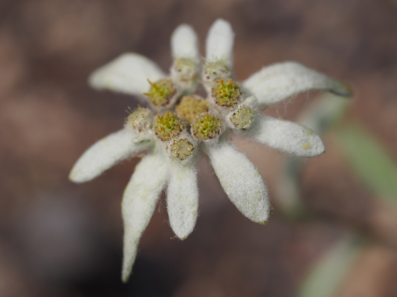 f:id:farNoise:20140520143914j:plain