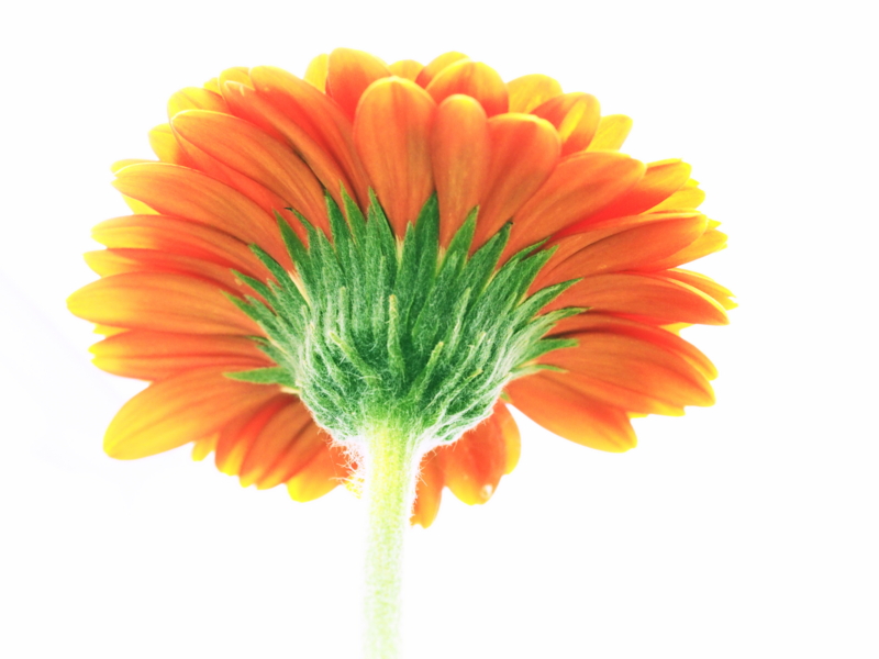 f:id:farNoise:20140919142804j:plain