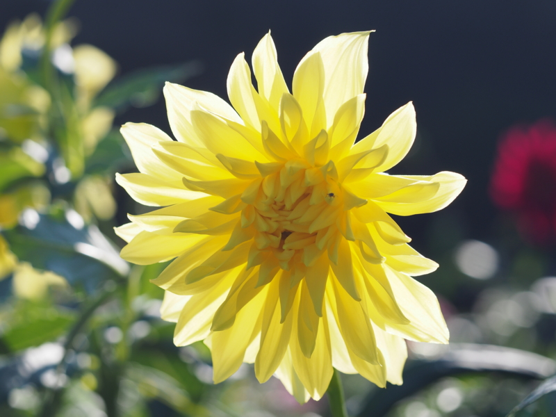 f:id:farNoise:20141017144456j:plain