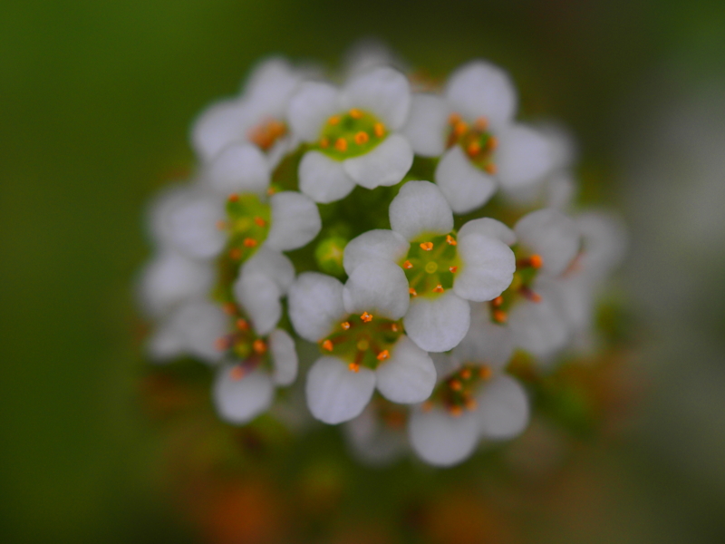 f:id:farNoise:20150220100227j:image:w480