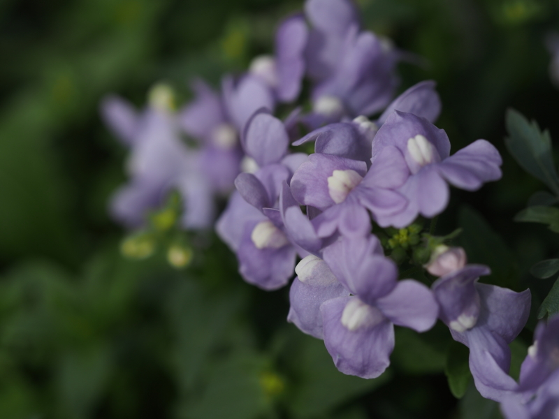 f:id:farNoise:20150220100313j:image:w480