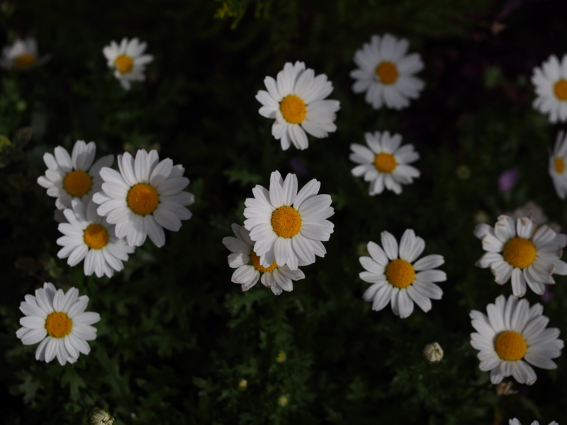 f:id:farNoise:20150220100340j:image:w480