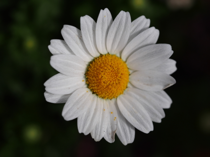 f:id:farNoise:20150220100406j:image:w480