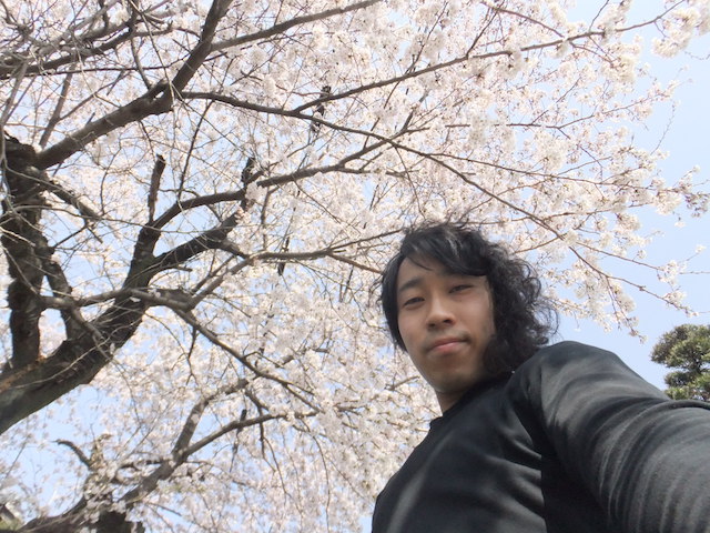近所の桜