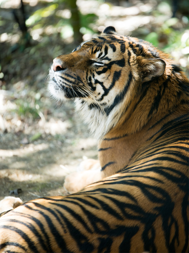 f:id:fewpoco:20150422222710j:plain f:id:fewpoco:20150422222710j:plain