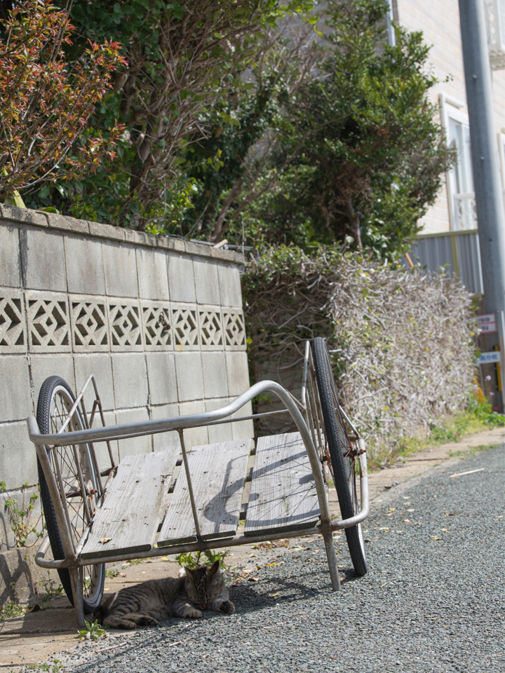 f:id:fewpoco:20150422225113j:plain f:id:fewpoco:20150422225113j:plain