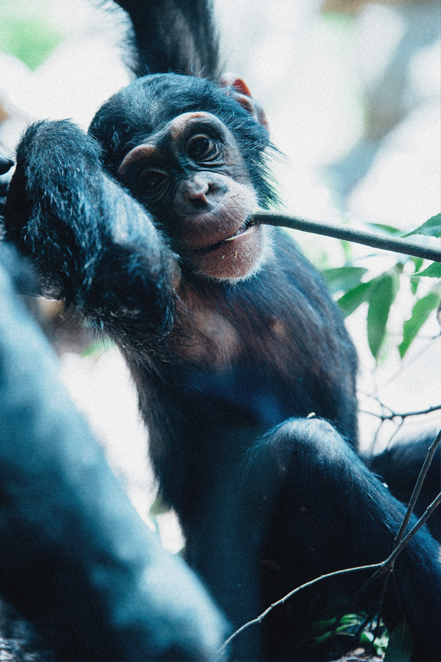 f:id:fewpoco:20150509111139j:plain f:id:fewpoco:20150509111139j:plain