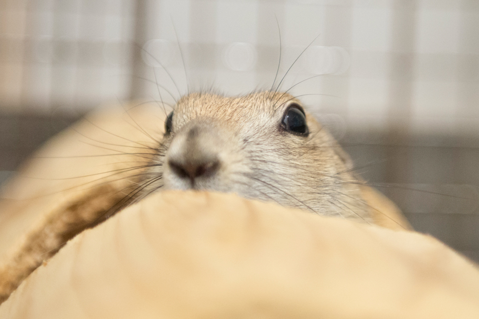 f:id:fewpoco:20150531221522j:plain f:id:fewpoco:20150531221522j:plain