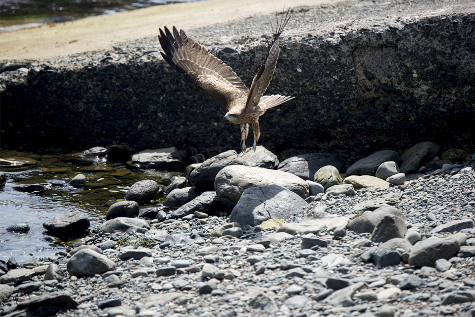 f:id:fewpoco:20150603225147j:plain f:id:fewpoco:20150603225147j:plain