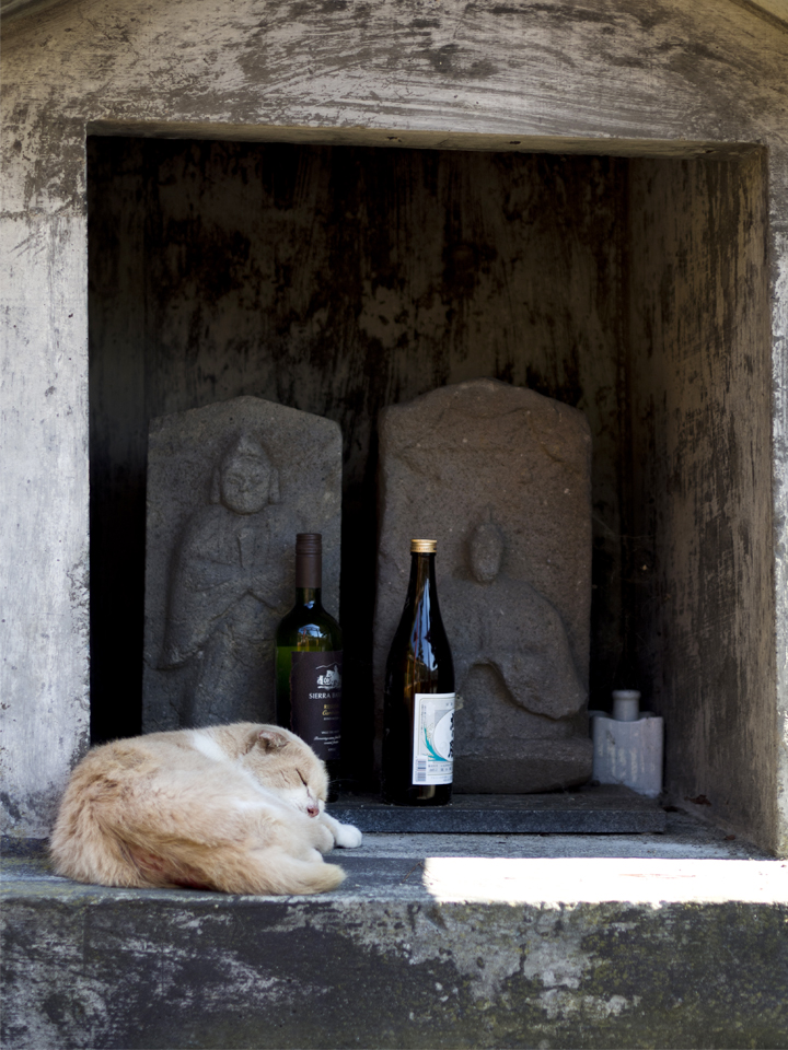 f:id:fewpoco:20150922231124j:plain f:id:fewpoco:20150922231124j:plain