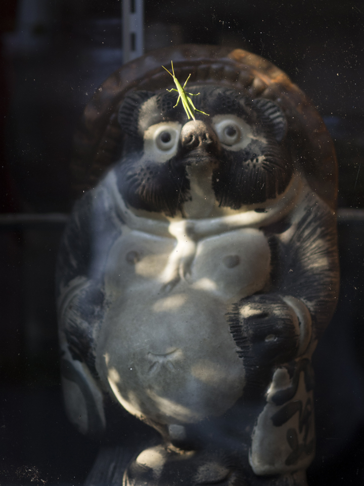 f:id:fewpoco:20150923001548j:plain f:id:fewpoco:20150923001548j:plain