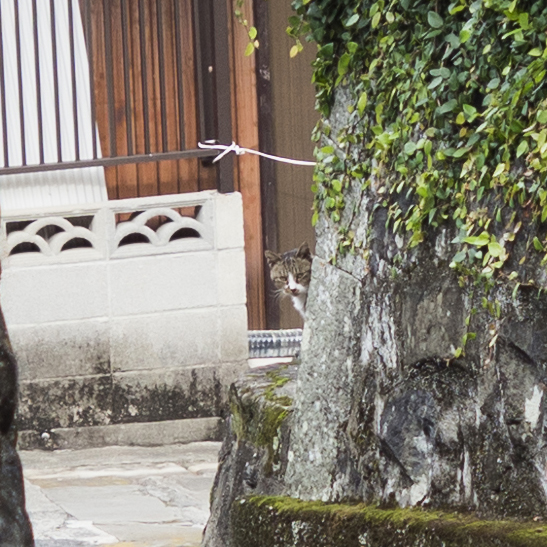 f:id:fewpoco:20151205091407j:plain f:id:fewpoco:20151205091407j:plain