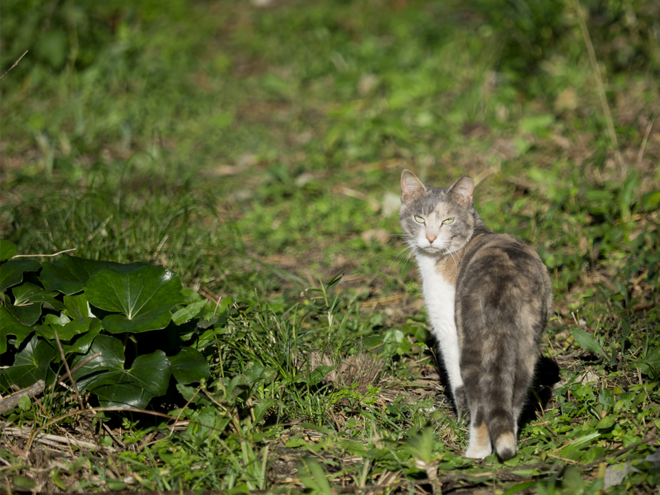 f:id:fewpoco:20151212221605j:plain f:id:fewpoco:20151212221605j:plain