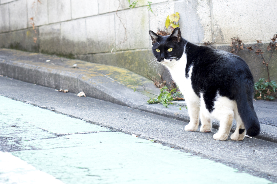 f:id:fewpoco:20160101123836j:plain f:id:fewpoco:20160101123836j:plain