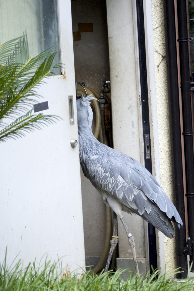 f:id:fewpoco:20160105222541j:plain f:id:fewpoco:20160105222541j:plain