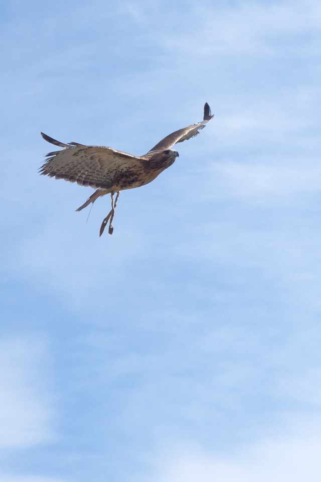 f:id:fewpoco:20160105223117j:plain f:id:fewpoco:20160105223117j:plain