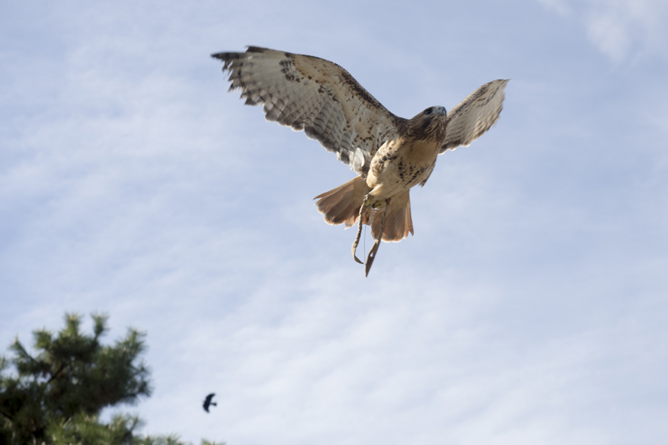 f:id:fewpoco:20160105224032j:plain f:id:fewpoco:20160105224032j:plain