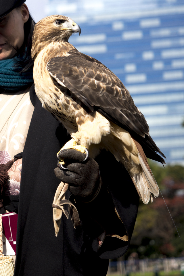 f:id:fewpoco:20160125001825j:plain f:id:fewpoco:20160125001825j:plain