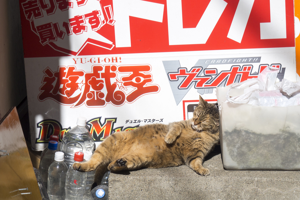 f:id:fewpoco:20160212223426j:plain