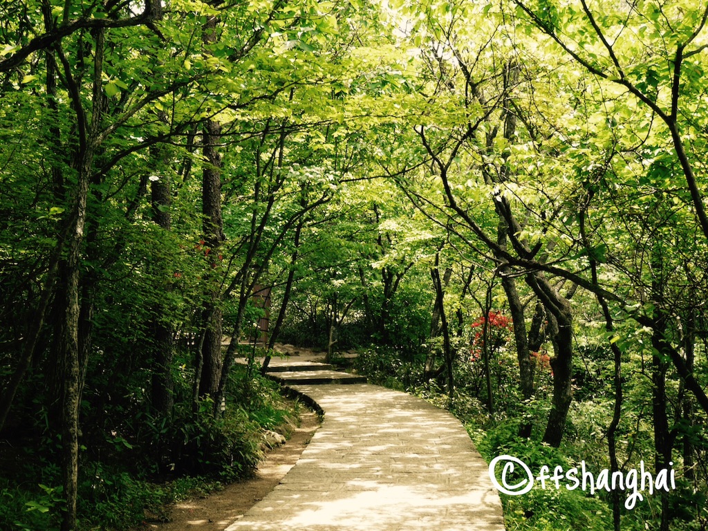 f:id:ffshanghai:20150816134315j:image f:id:ffshanghai:20150816134315j:image